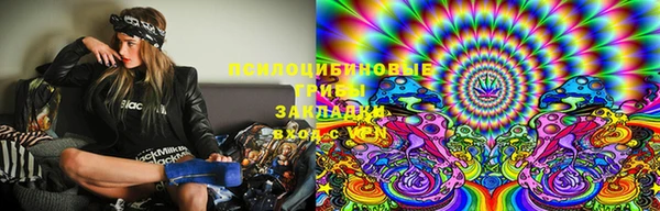 прущий лед Алзамай